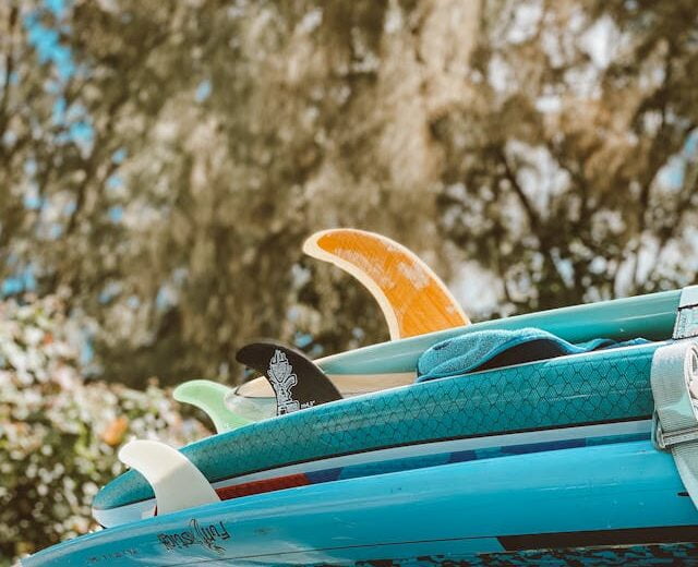 Hard Surfboard Rentals