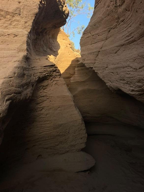 WhatsApp Image 2025-04-06 at 01.09.31 (2)