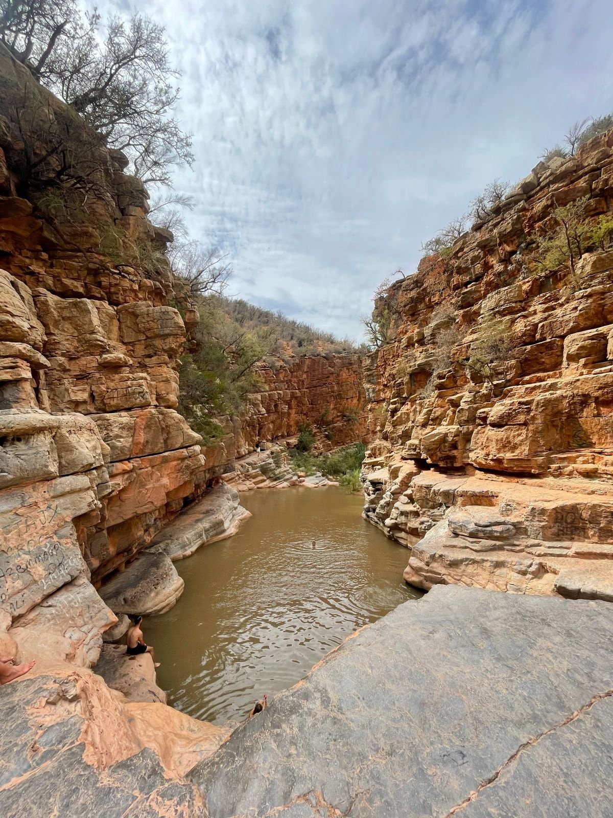 WhatsApp Image 2025-04-06 at 01.09.53