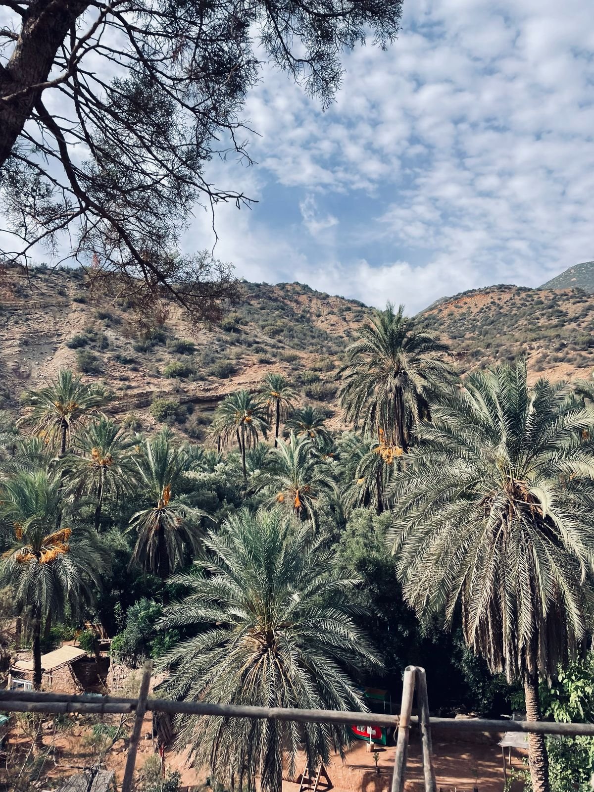 WhatsApp Image 2025-04-06 at 01.09.54 (1)